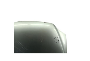 Capot VOLKSWAGEN FOX Photo n°3