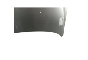 Capot VOLKSWAGEN FOX Photo n°4