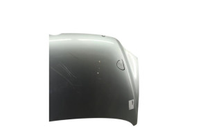 Capot VOLKSWAGEN FOX Photo n°7