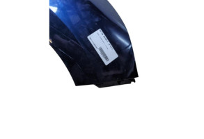 Aile avant droit RENAULT SCENIC 4 Photo n°7