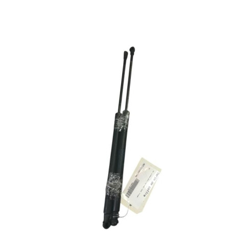 Verin de coffre BMW SERIE 1 F20