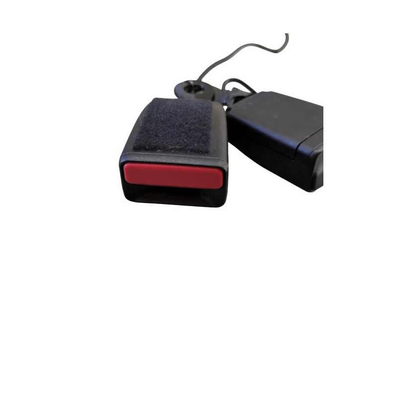 Attache ceinture arriere droit RENAULT SCENIC 4 Photo n°1