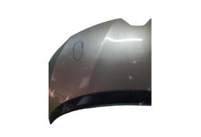 Capot RENAULT GRAND SCENIC 4 Photo n°7