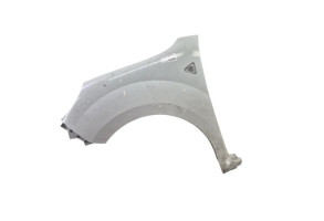 Aile avant gauche RENAULT KANGOO 2 Photo n°1