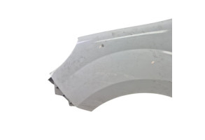 Aile avant gauche RENAULT KANGOO 2 Photo n°2