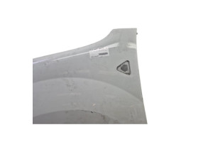 Aile avant gauche RENAULT KANGOO 2 Photo n°3
