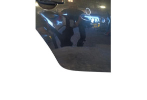Porte arriere droit DACIA DUSTER 1 Photo n°5