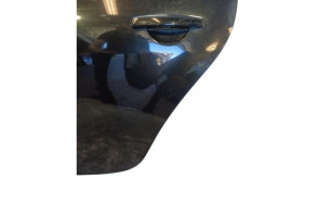Porte arriere gauche DACIA DUSTER 1 Photo n°11