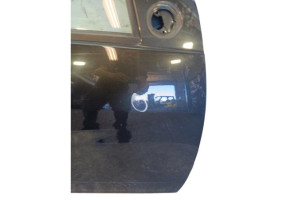 Porte avant droit DACIA DUSTER 1 Photo n°3