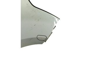 Aile avant droit RENAULT MASTER 3 Photo n°5