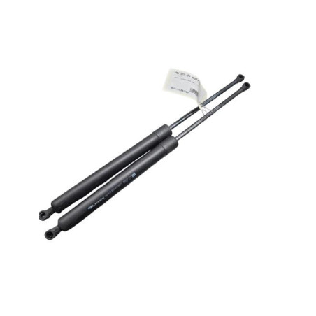 Verin de coffre RENAULT MODUS