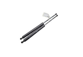 Verin de coffre RENAULT MODUS Photo n°1