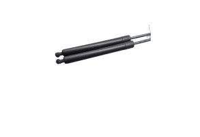 Verin de coffre RENAULT MODUS Photo n°4