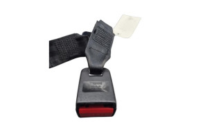 Attache ceinture arriere droit DACIA DUSTER 1 Photo n°5