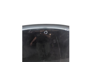 Capot DACIA LODGY Photo n°5