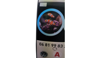 Porte de coffre droit VOLKSWAGEN CADDY 4 Photo n°7