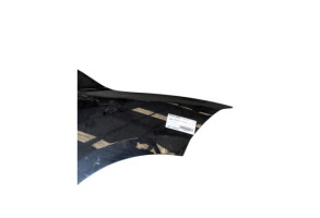 Aile avant droit RENAULT MEGANE 3 Photo n°5