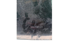 Custode arriere droit (porte) RENAULT MEGANE 3 Photo n°3