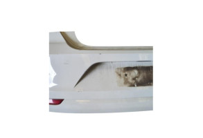 Pare choc arriere VOLKSWAGEN POLO 5 Photo n°8