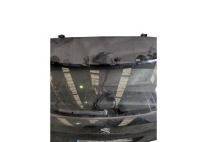 Malle/Hayon arriere PEUGEOT 3008 2 Photo n°14