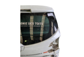 Malle/Hayon arriere RENAULT MEGANE 3 Photo n°1