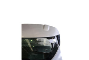 Malle/Hayon arriere RENAULT CLIO 4 Photo n°5