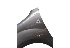 Aile avant gauche RENAULT KANGOO 2 Photo n°1 Aile avant gauche RENAULT KANGOO 2 Photo n°1